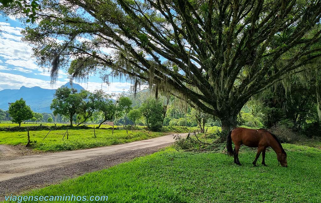 Estrada em Três Forquilhas RS