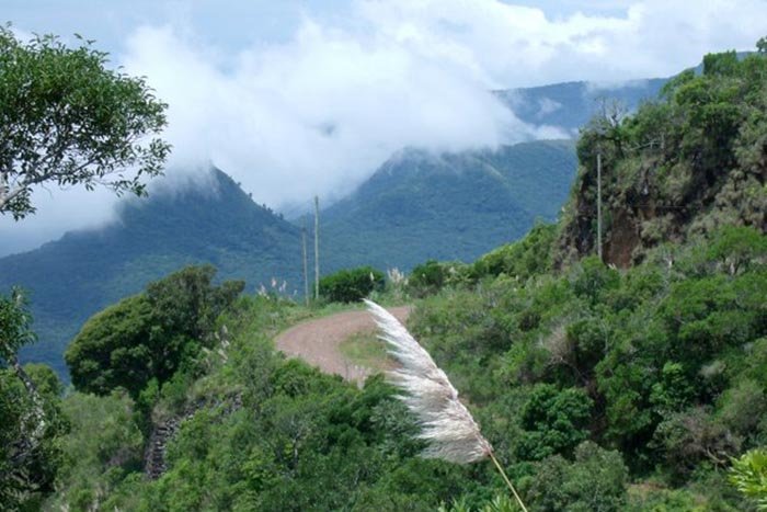 Serra da Boa Vista - Maquiné