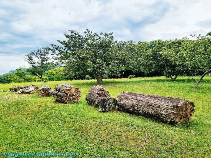 Jardim Paleobotânico de Mata RS