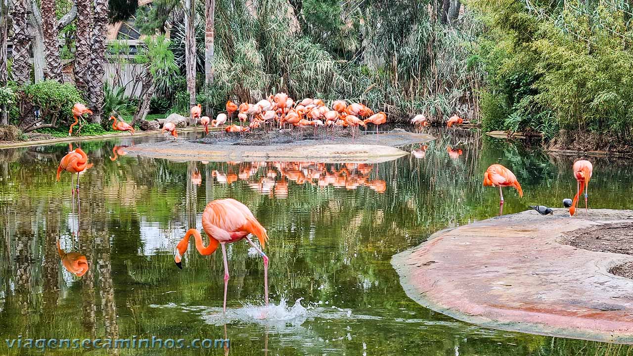 Zoo de Barcelona