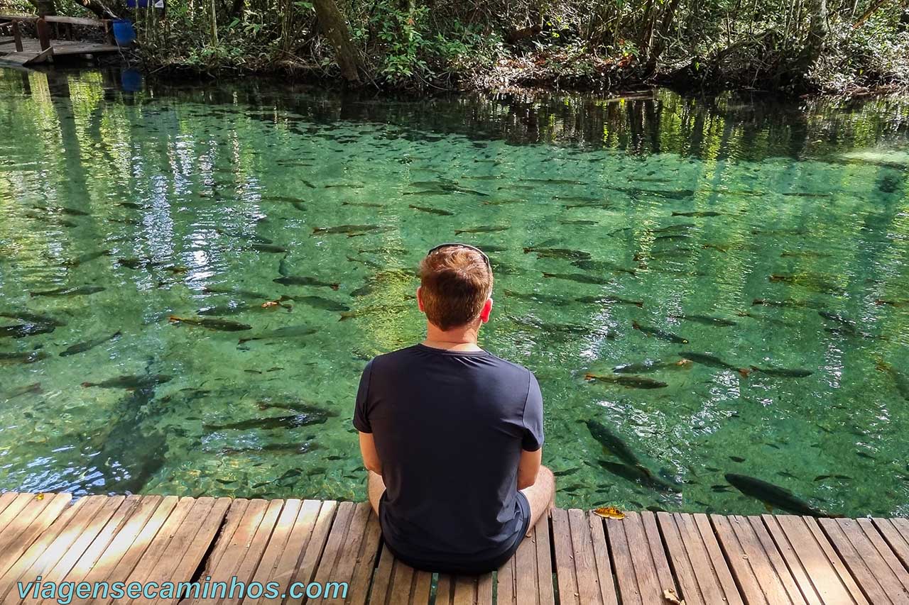 Bom Jardim, Nobres - Refúgio Água Azul