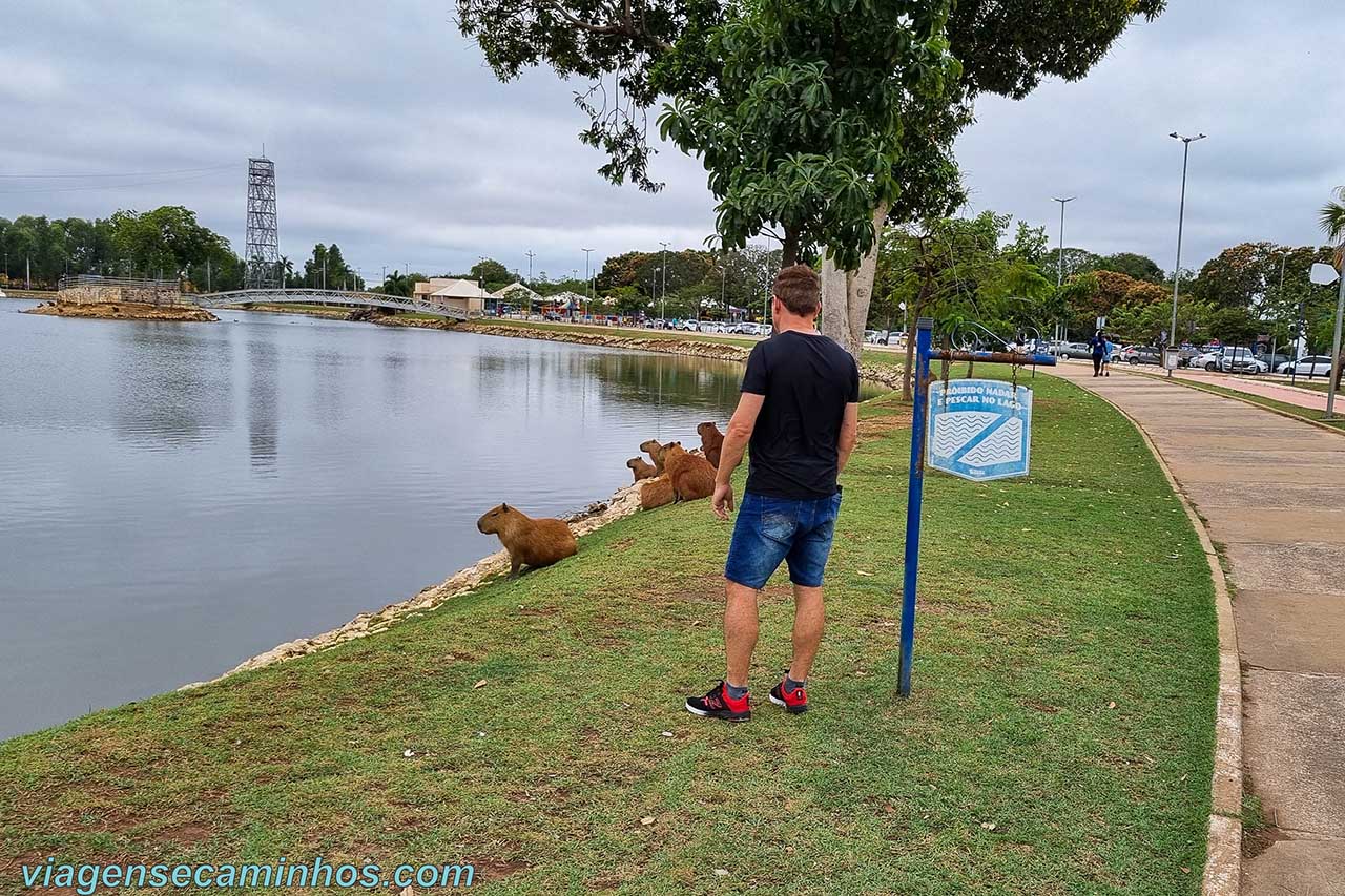 Pontos turísticos de Cuiabá - Parque Tia Nair