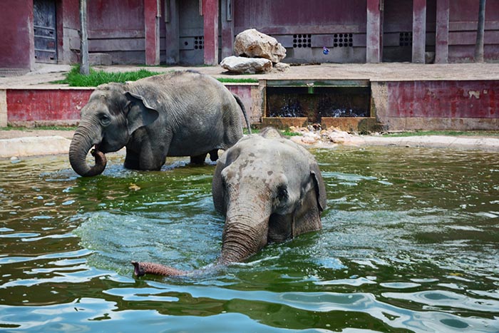 Terra Natura - Benidorm