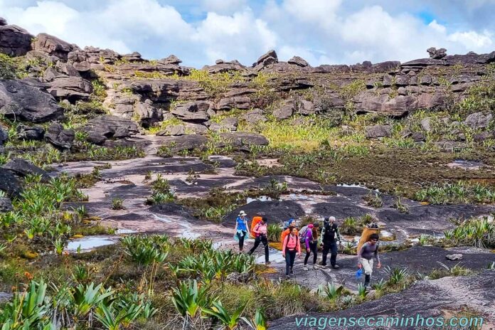 Monte Roraima: Tudo sobre o trekking e preparação - Viagens e Caminhos