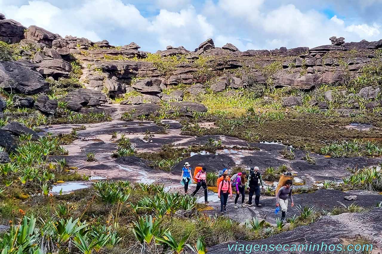 Monte Roraima - Paisagem no topo