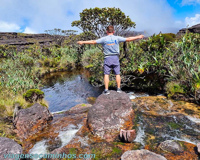 Monte Roraima - Divisa de Brasil e Guiana