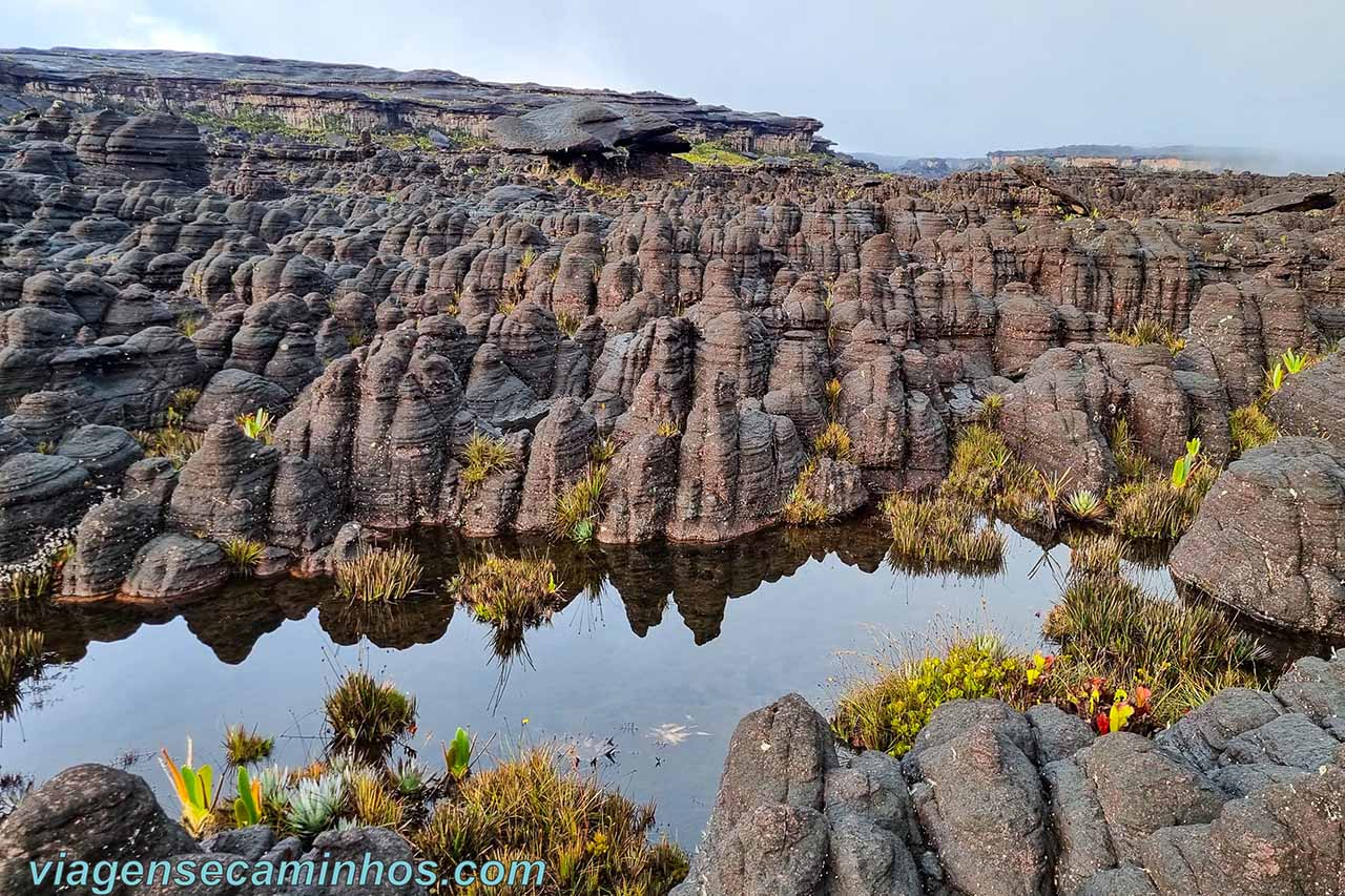 Monte Roraima - Formações rochosas