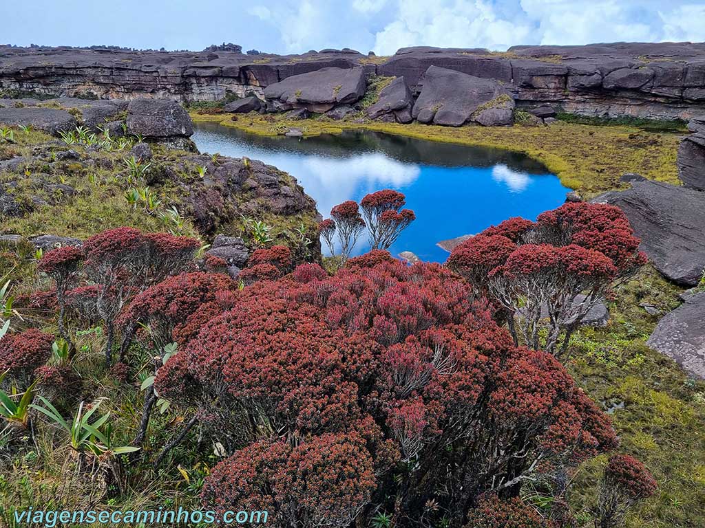 Monte Roraima - Lago Gladys