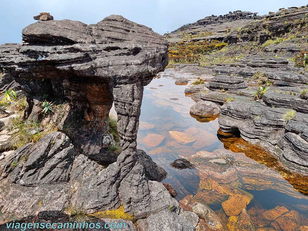 Monte Roraima - Pedra do Elefante