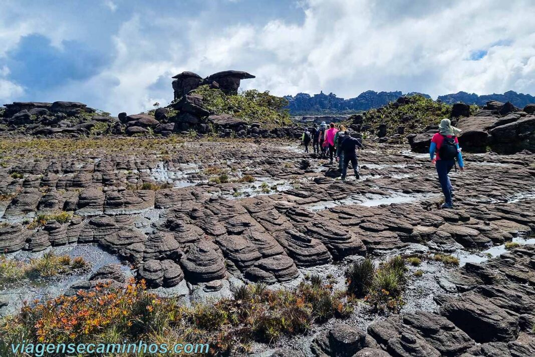 Monte Roraima: Tudo sobre o trekking e preparação - Viagens e Caminhos