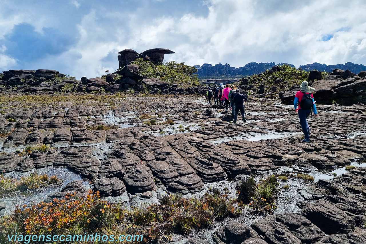 Topo do Monte Roraima