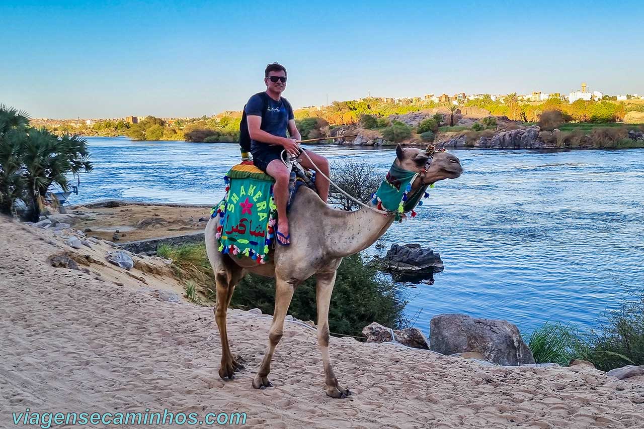Passeio de camelo em Assuã - Egito