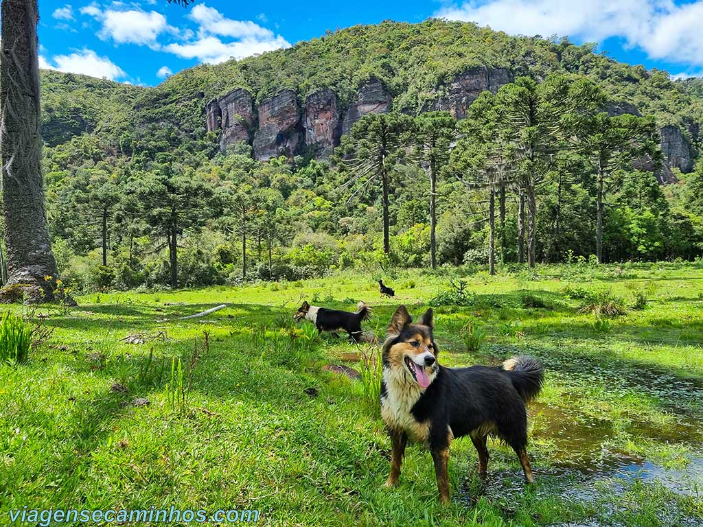 Rio Rufino - Trilha da Cachoeira do Rio do Tigre