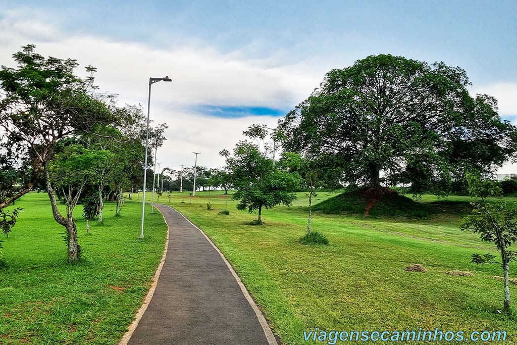 Arapoti -PR - Linha Verde