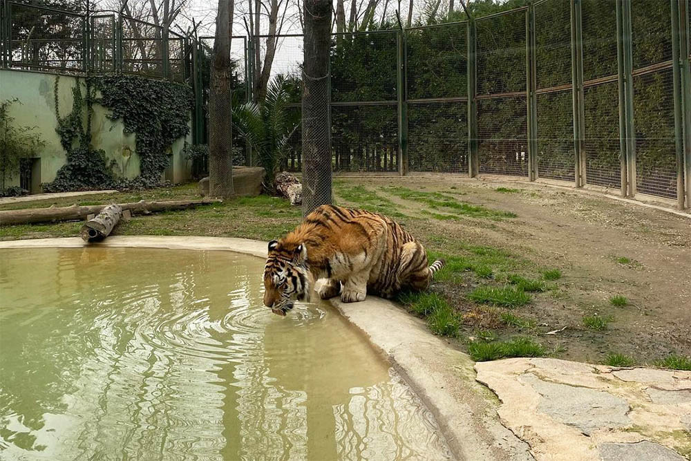 Zoo de Bursa - Turquia