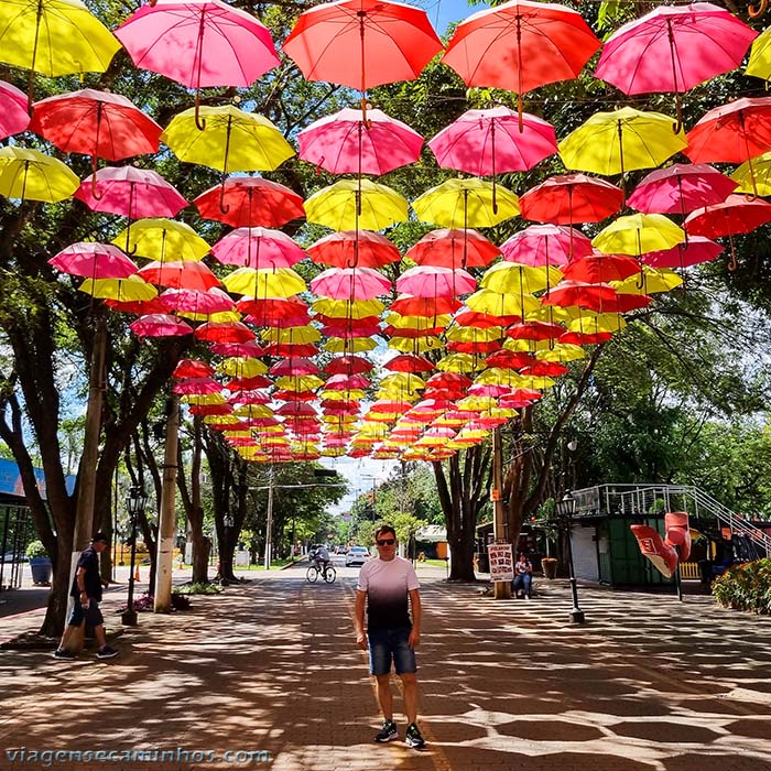 Guarda chuvas de Holambra