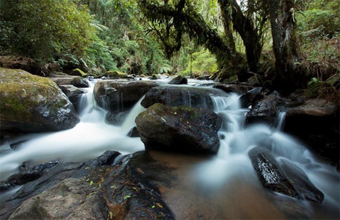 Monte Verde - Trilha Corredeiras do Itapúá