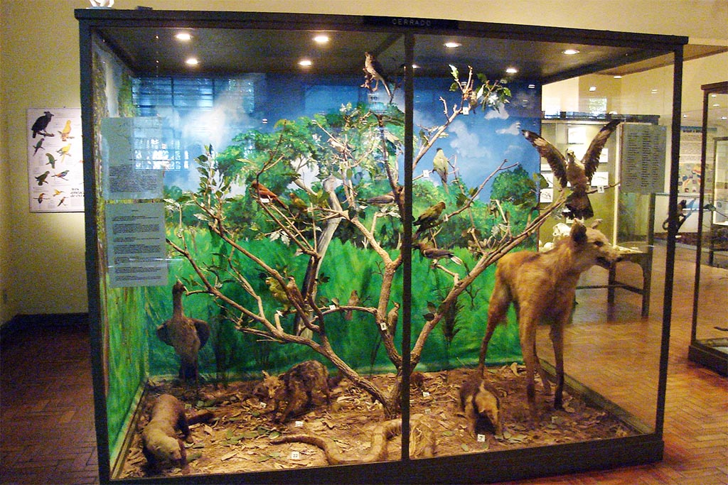 Museu da História Natural de Campinas