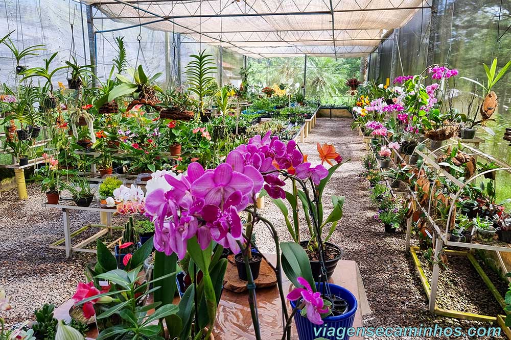 O que fazer em Atibaia - Orquidário Takebayaschi