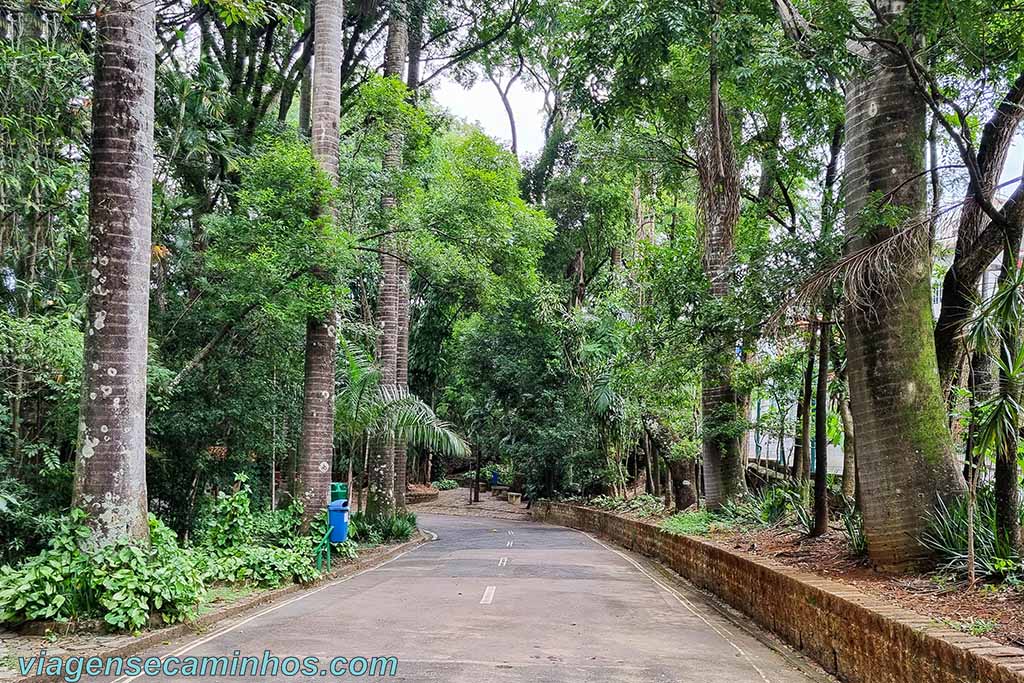 O que fazer em Campinas - Bosque dos Jequitibás