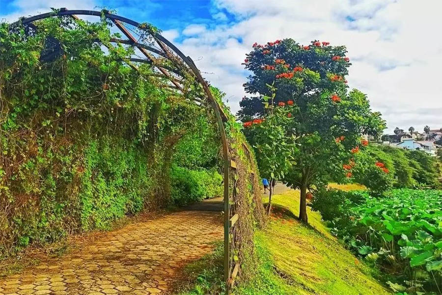 O que fazer em Campinas - Parque das Águas