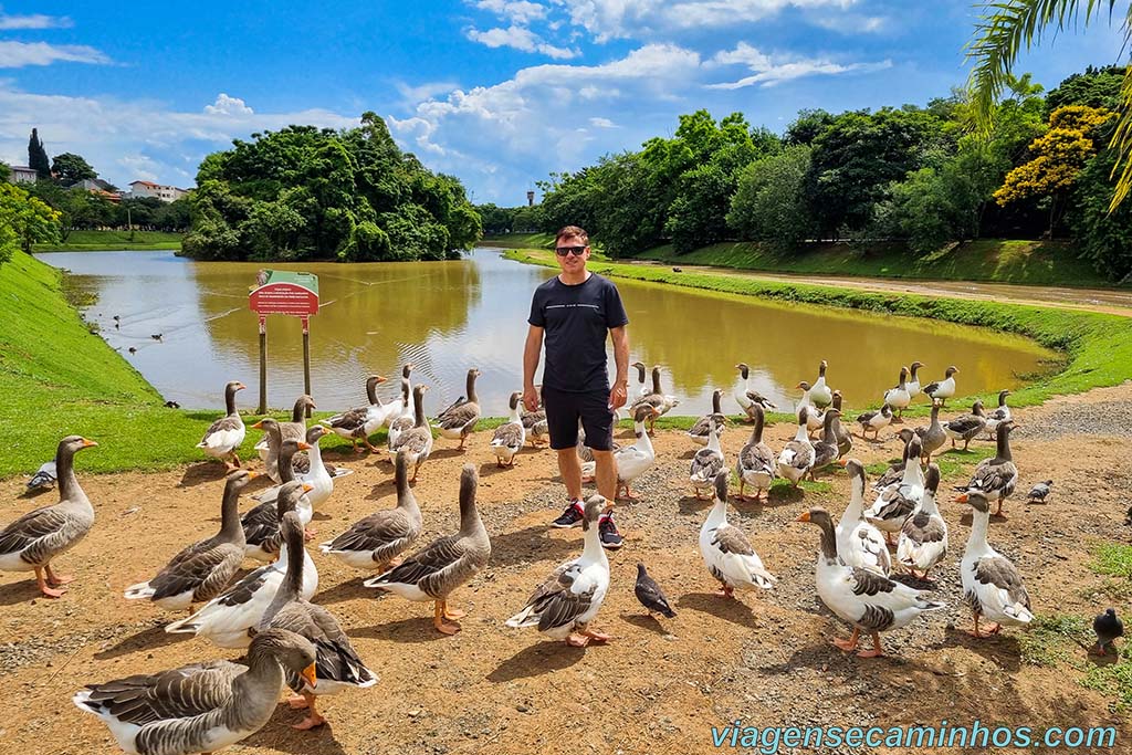 O que fazer em Campinas - Parque do Jambeiro