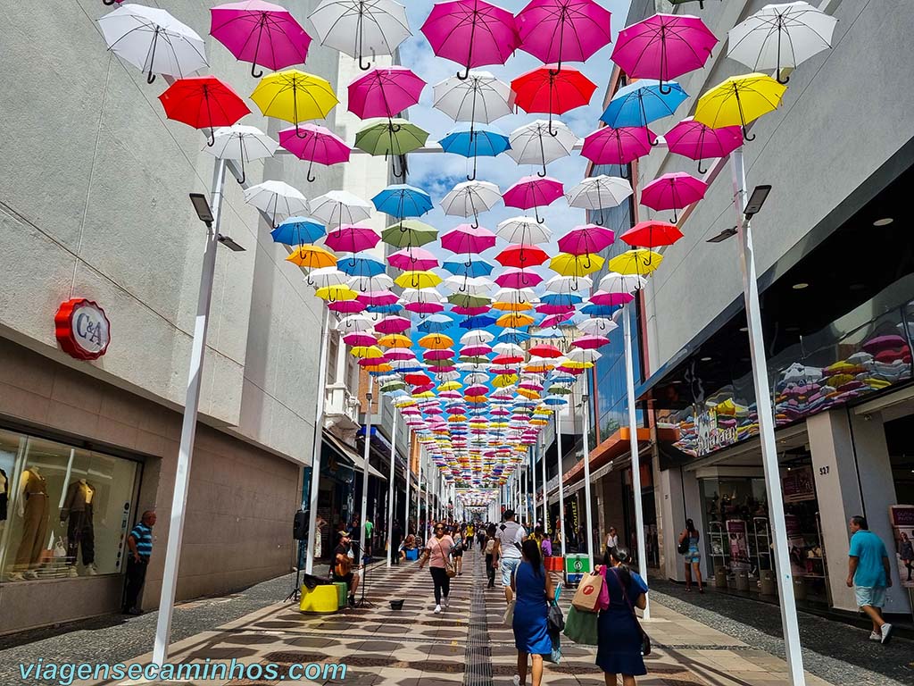 O que fazer em Campinas SP