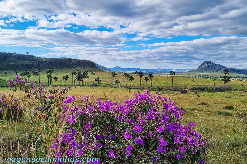 Chapada dos Veadeiros - Jardim de Maytrea