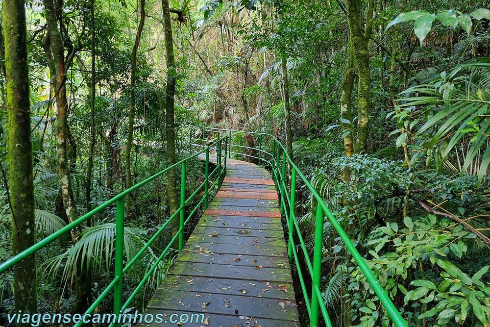 Trilha Suspensa - Parque Nacional da Serra dos Órgãos