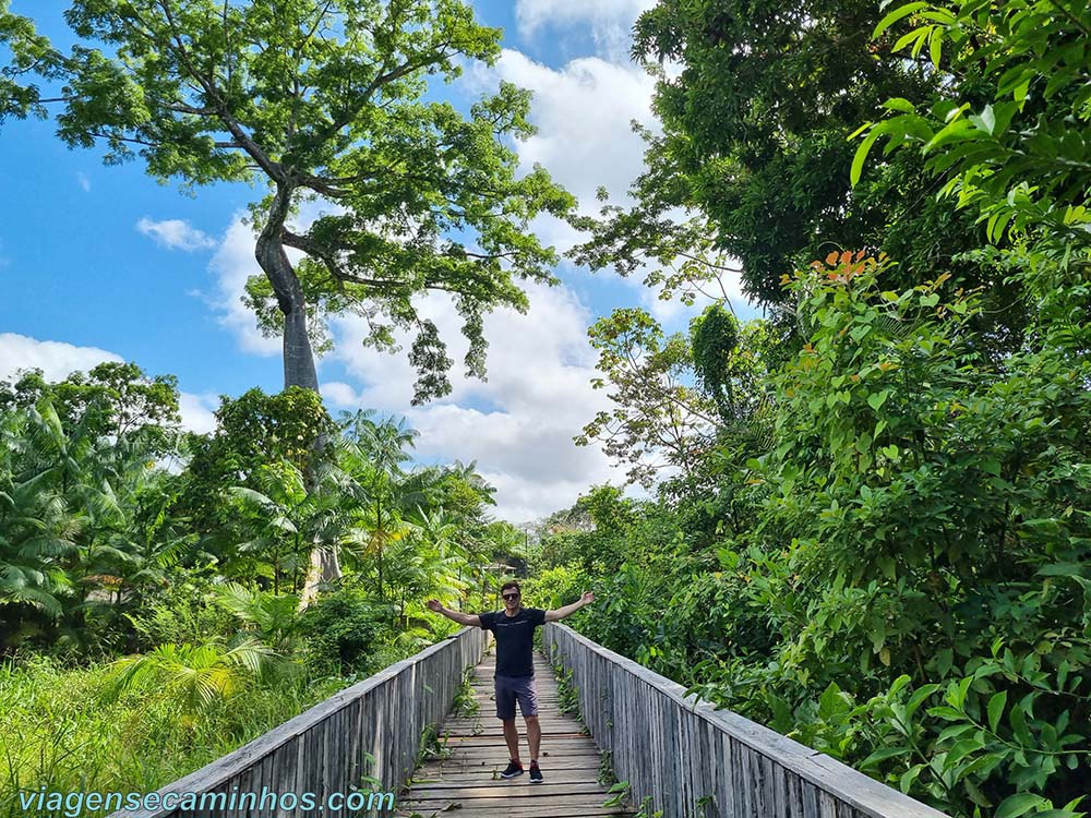 Trilha na Ilha de Santana - Amapá