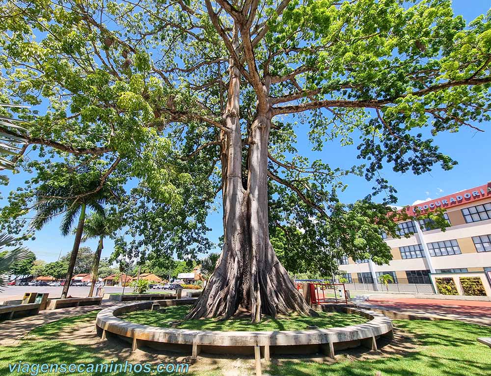 Macapá - Praça Samaúma