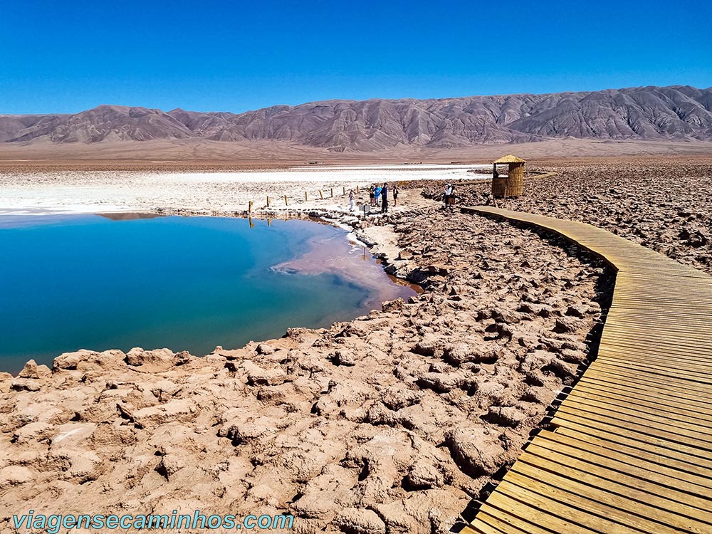 Atacama - Lagunas Escondidas Baltinache