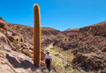 Atacama - Trekking Puritama