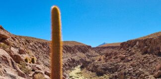 Atacama - Trekking Puritama