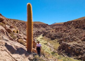 Atacama - Trekking Puritama