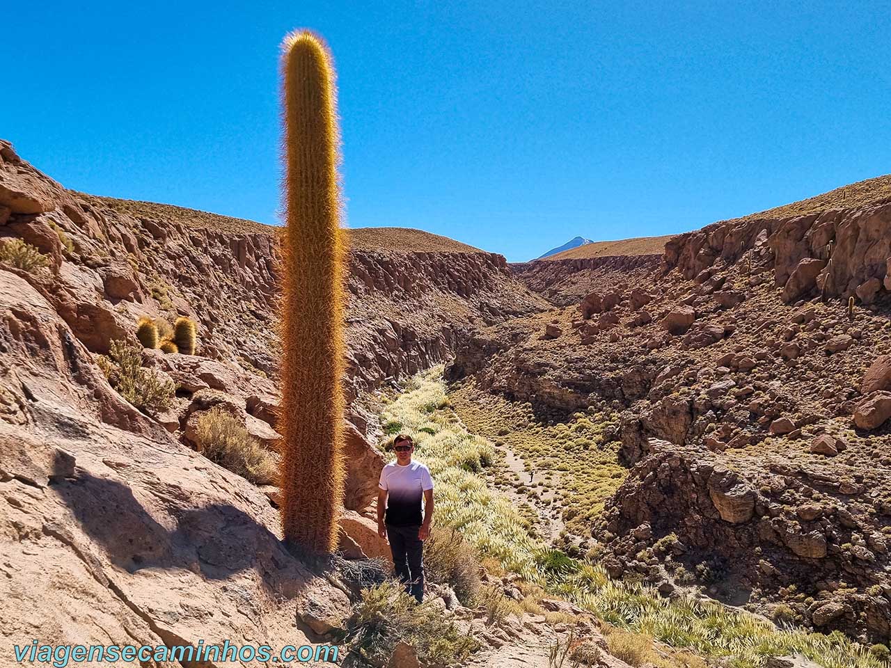 Atacama - Trekking Puritama