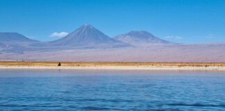 Laguna Cejar - Atacama