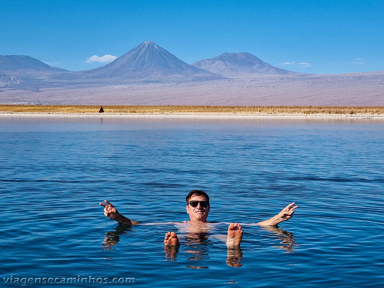 Laguna Cejar - Atacama