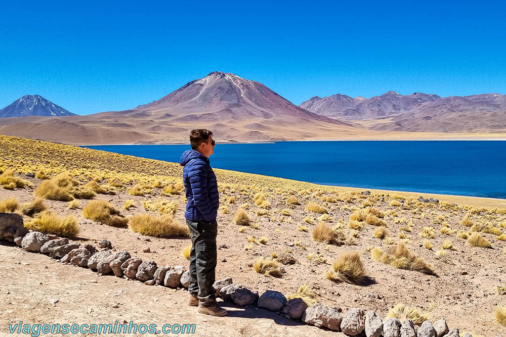 Laguna Miscantis - Deserto do Atacama
