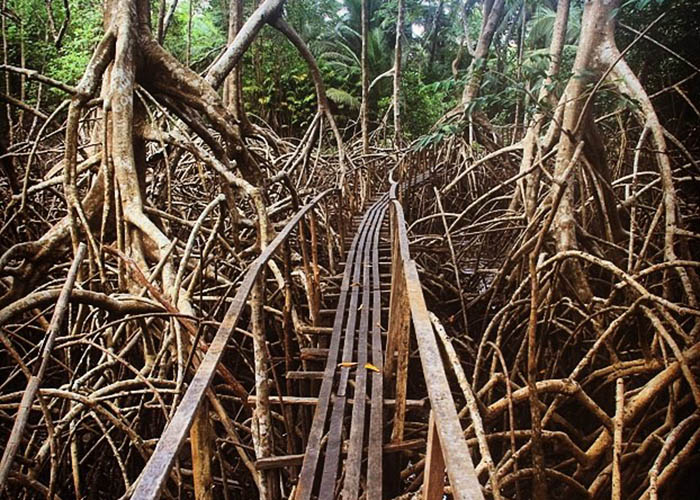 Trilha na Fazenda São Jerônimo - Soure