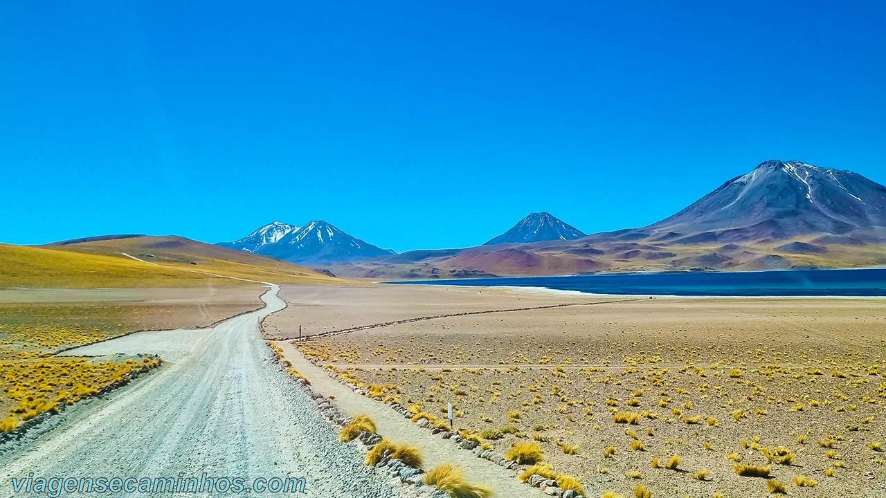 Estrada das Lagunas Altiplanicas - Chile