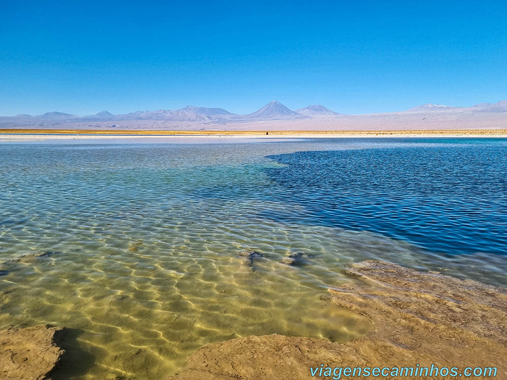 Laguna Cejar