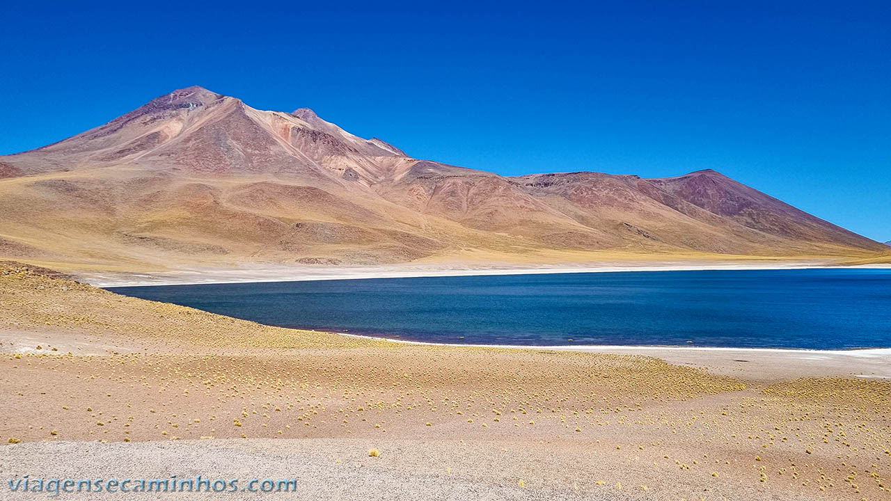 Laguna Minisques - Atacama