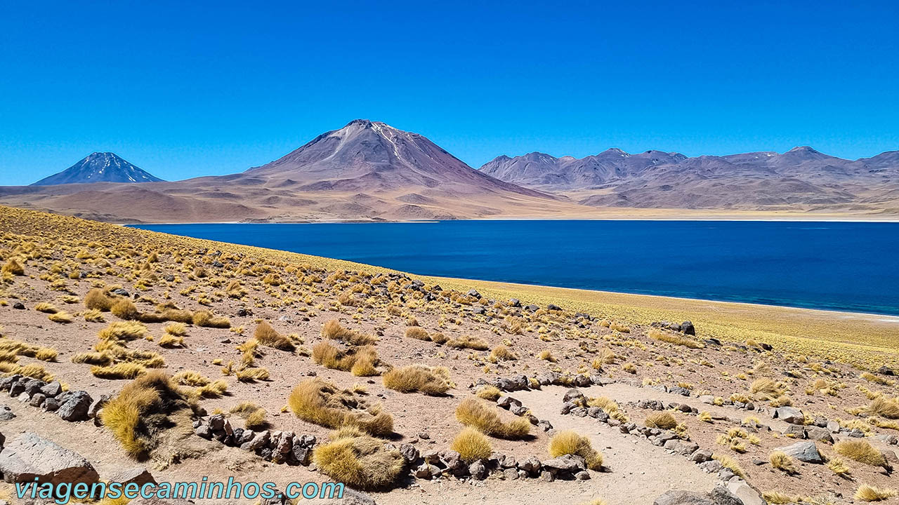 Laguna Miscanti - Atacama