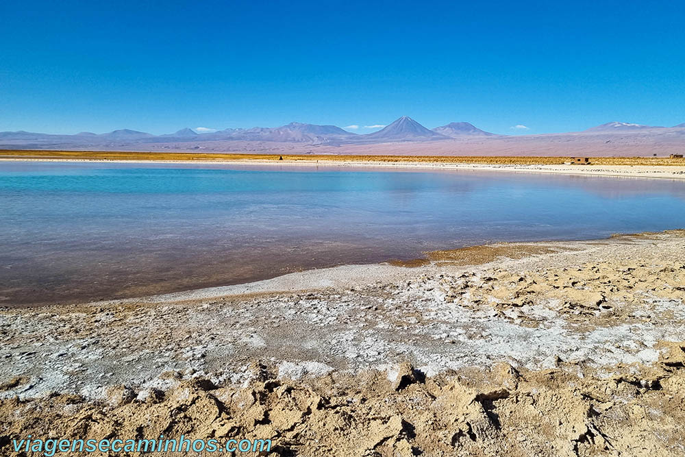 Laguna Piedra - Atacama