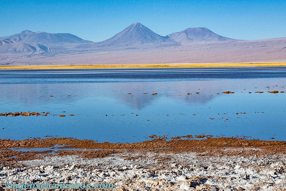 Laguna Tebinquinche - Atacama