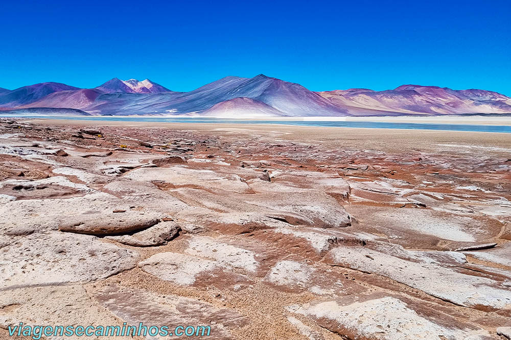 Piedras Rojas - Atacama