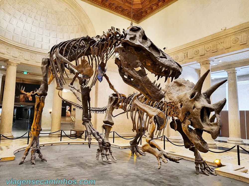 Museu da História Natural de Los Angeles