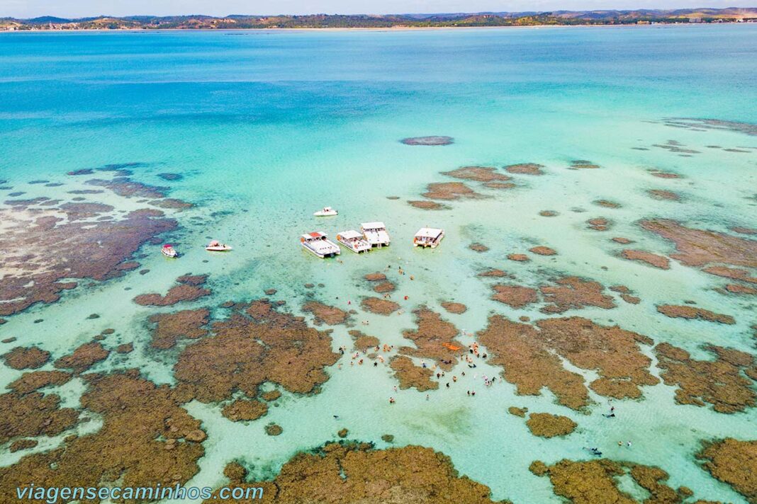 Piscinas naturais de Maragogi: Tudo sobre o passeio - Viagens e Caminhos