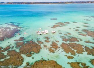 Maragogi - Piscinas naturais de Galés